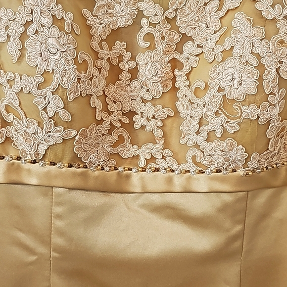 JJs House satin skirt delicate lace-embroidered bodice sheer short sleeves. - Picture 11 of 16